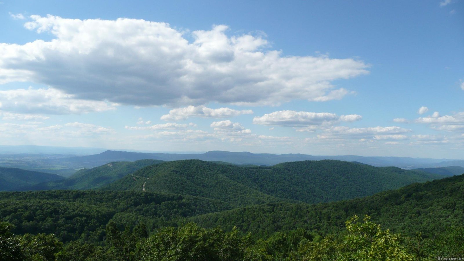 dismal creek appalachian trail dismal creek appalachian trail